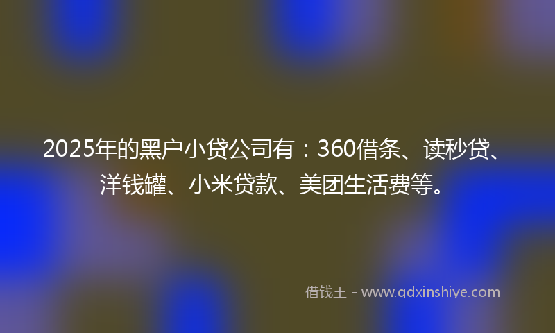 2025年的黑户小贷公司有：360借条、读秒贷、洋钱罐、小米贷款、美团生活费等。