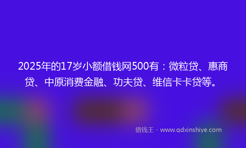 2025年的17岁小额借钱网500有：微粒贷、惠商贷、中原消费金融、功夫贷、维信卡卡贷等。
