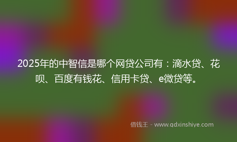 2025年的中智信是哪个网贷公司有：滴水贷、花呗、百度有钱花、信用卡贷、e微贷等。