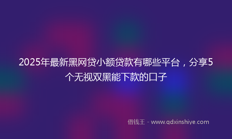 2025年最新黑网贷小额贷款有哪些平台，分享5个无视双黑能下款的口子