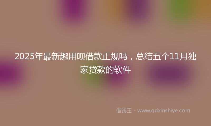 2025年最新趣用呗借款正规吗，总结五个11月独家贷款的软件