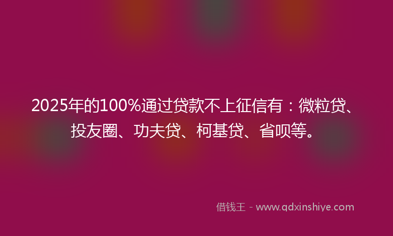2025年的100%通过贷款不上征信有：微粒贷、投友圈、功夫贷、柯基贷、省呗等。