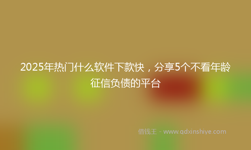 2025年热门什么软件下款快，分享5个不看年龄征信负债的平台