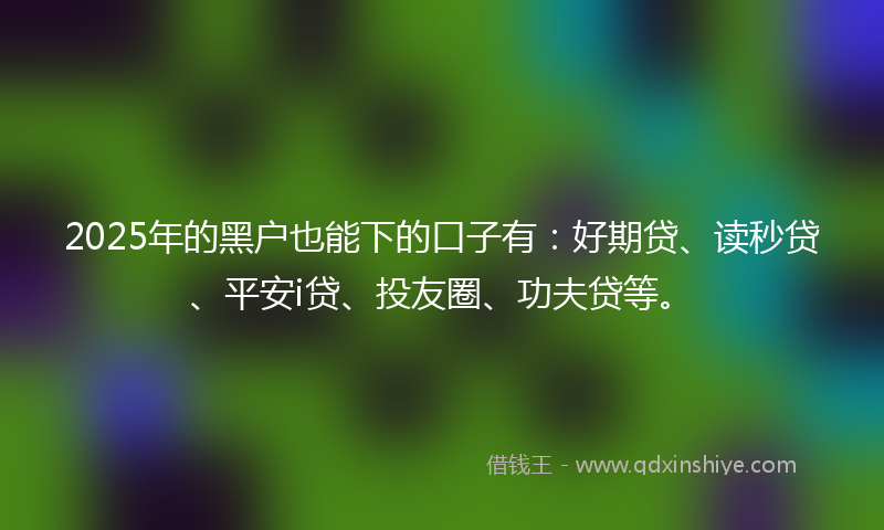 2025年的黑户也能下的口子有：好期贷、读秒贷、平安i贷、投友圈、功夫贷等。