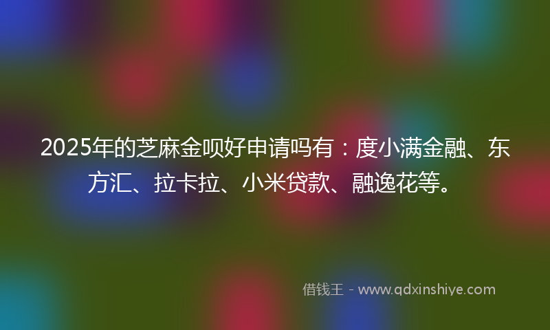 2025年的芝麻金呗好申请吗有：度小满金融、东方汇、拉卡拉、小米贷款、融逸花等。
