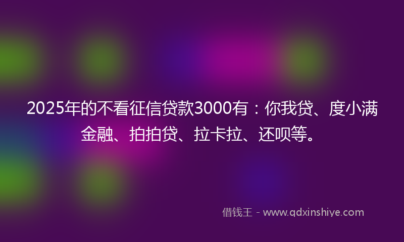 2025年的不看征信贷款3000有：你我贷、度小满金融、拍拍贷、拉卡拉、还呗等。