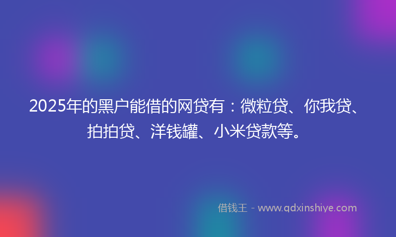 2025年的黑户能借的网贷有：微粒贷、你我贷、拍拍贷、洋钱罐、小米贷款等。