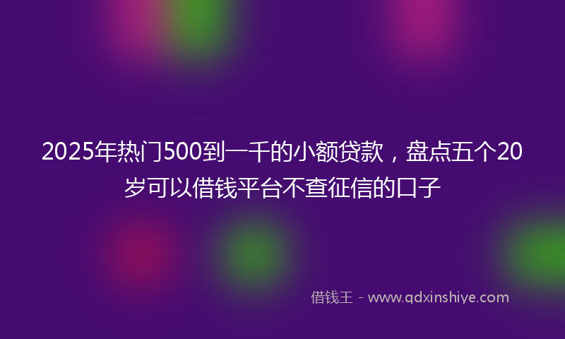 2025年热门500到一千的小额贷款，盘点五个20岁可以借钱平台不查征信的口子