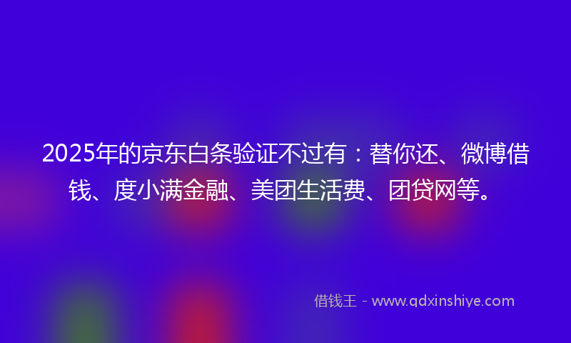 2025年的京东白条验证不过有：替你还、微博借钱、度小满金融、美团生活费、团贷网等。