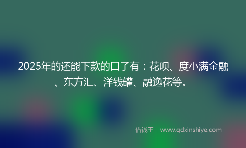 2025年的还能下款的口子有：花呗、度小满金融、东方汇、洋钱罐、融逸花等。
