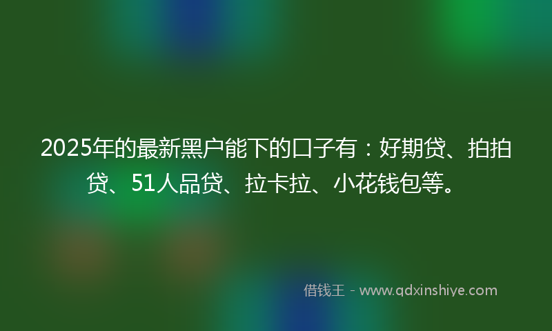 2025年的最新黑户能下的口子有:好期贷、拍拍贷、51人品贷、拉卡拉、小花钱包等。