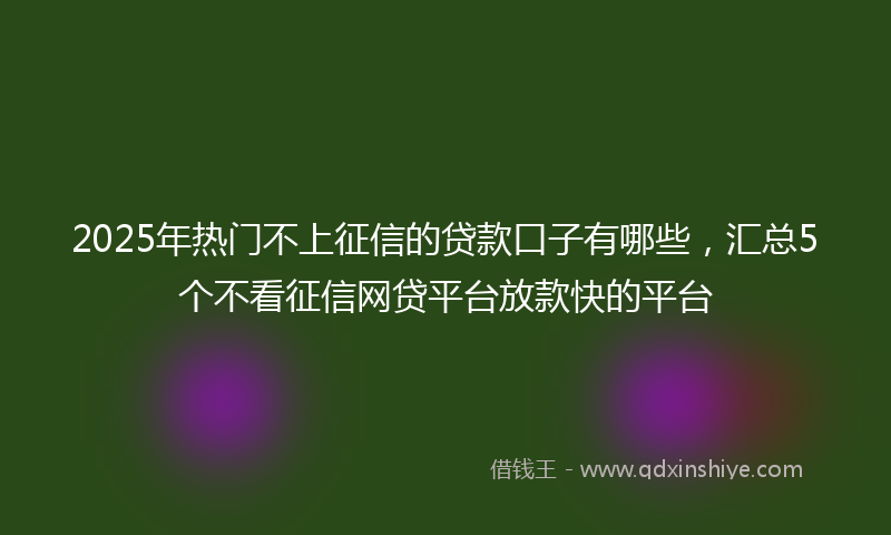 2025年热门不上征信的贷款口子有哪些，汇总5个不看征信网贷平台放款快的平台