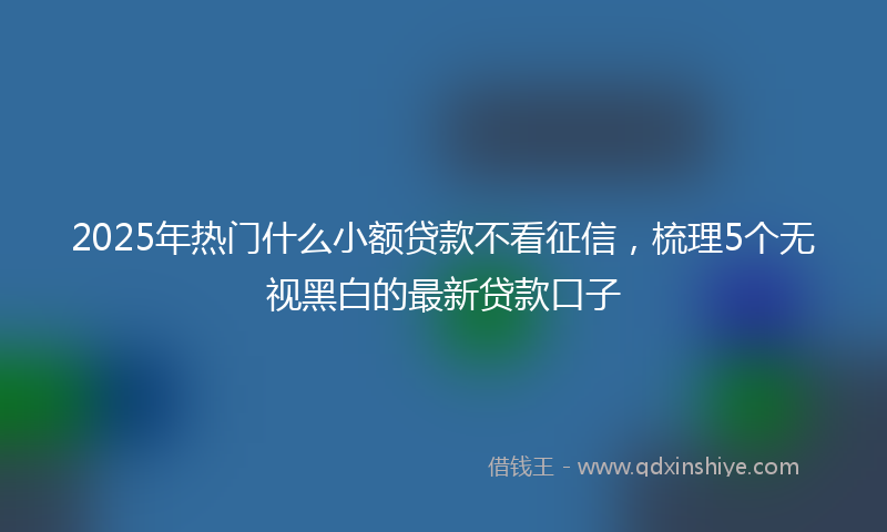 2025年热门什么小额贷款不看征信，梳理5个无视黑白的最新贷款口子