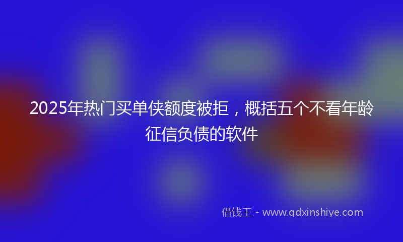2025年热门买单侠额度被拒，概括五个不看年龄征信负债的软件