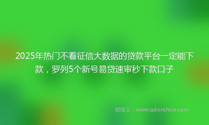 2025年热门不看征信大数据的贷款平台一定能下款，罗列5个新号易贷速审秒下款口子