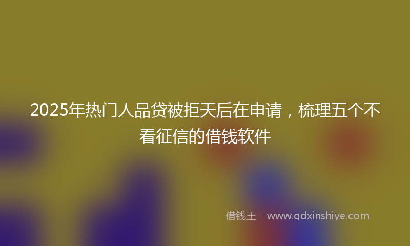 2025年热门人品贷被拒天后在申请，梳理五个不看征信的借钱软件