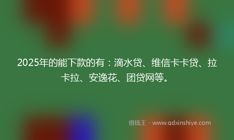2025年的能下款的有：滴水贷、维信卡卡贷、拉卡拉、安逸花、团贷网等。