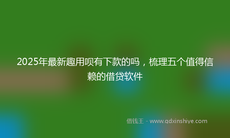 2025年最新趣用呗有下款的吗，梳理五个值得信赖的借贷软件