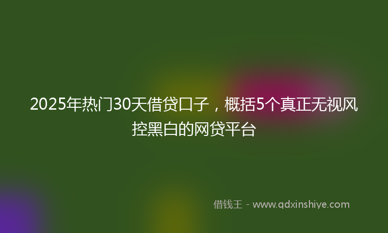 2025年热门30天借贷口子，概括5个真正无视风控黑白的网贷平台