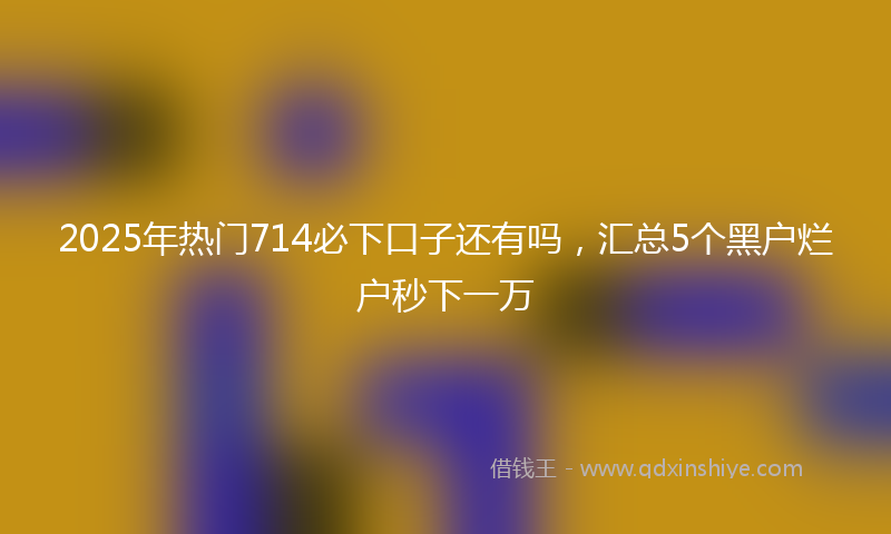 2025年热门714必下口子还有吗，汇总5个黑户烂户秒下一万