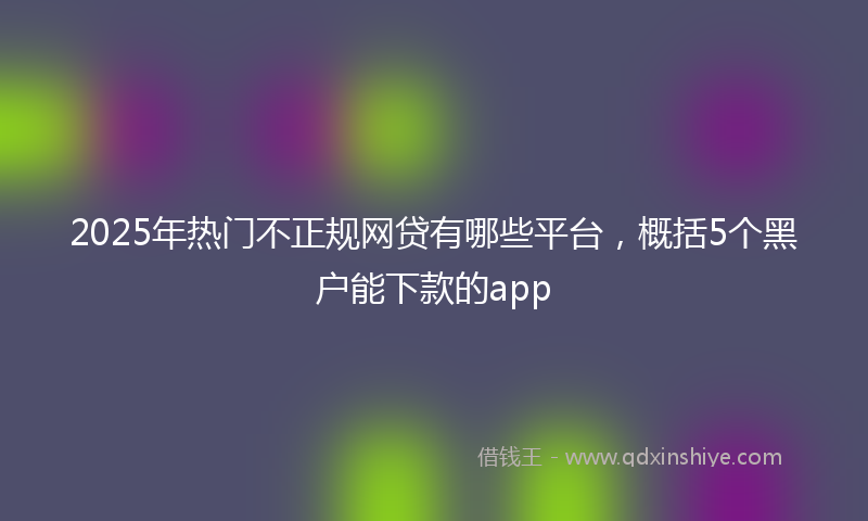 2025年热门不正规网贷有哪些平台，概括5个黑户能下款的app
