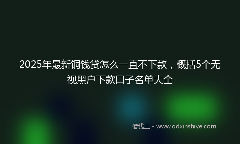 2025年最新铜钱贷怎么一直不下款，概括5个无视黑户下款口子名单大全