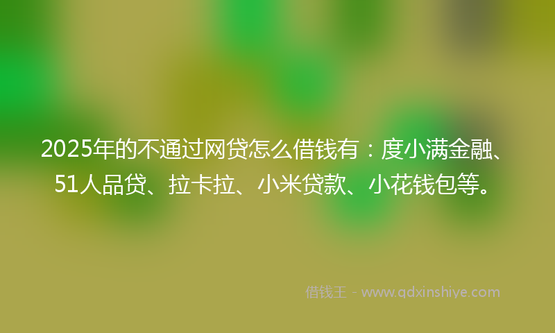 2025年的不通过网贷怎么借钱有：度小满金融、51人品贷、拉卡拉、小米贷款、小花钱包等。