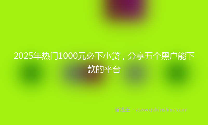 2025年热门1000元必下小贷，分享五个黑户能下款的平台