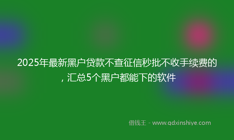 2025年最新黑户贷款不查征信秒批不收手续费的，汇总5个黑户都能下的软件
