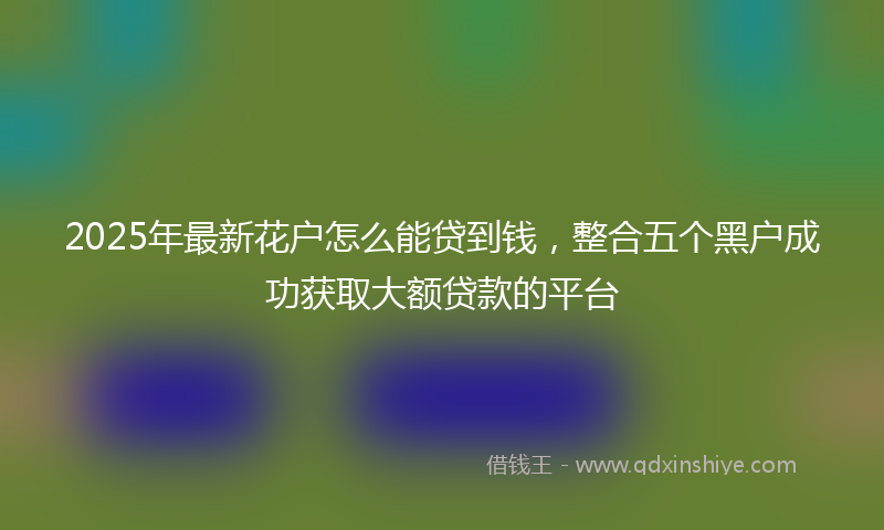 2025年最新花户怎么能贷到钱，整合五个黑户成功获取大额贷款的平台