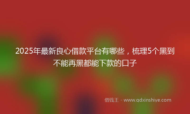 2025年最新良心借款平台有哪些，梳理5个黑到不能再黑都能下款的口子