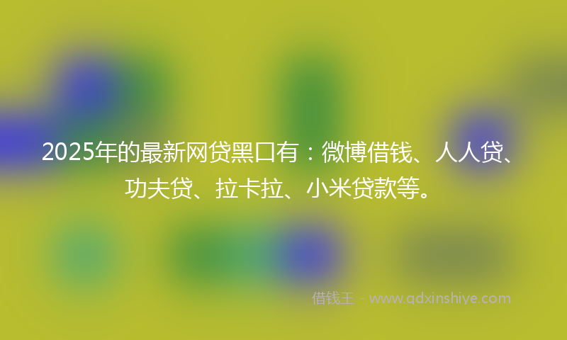 2025年的最新网贷黑口有：微博借钱、人人贷、功夫贷、拉卡拉、小米贷款等。