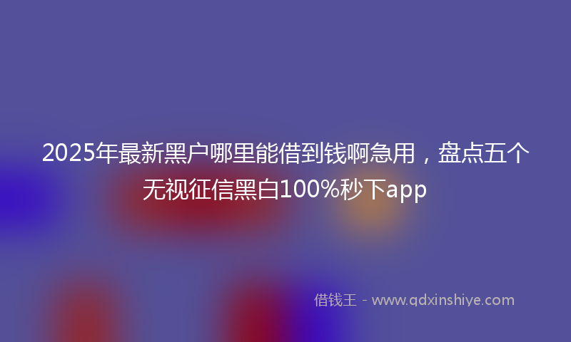 2025年最新黑户哪里能借到钱啊急用，盘点五个无视征信黑白100%秒下app