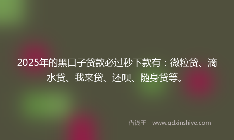2025年的黑口子贷款必过秒下款有：微粒贷、滴水贷、我来贷、还呗、随身贷等。