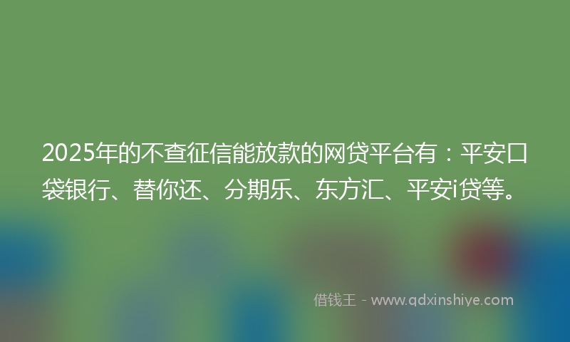 2025年的不查征信能放款的网贷平台有：平安口袋银行、替你还、分期乐、东方汇、平安i贷等。