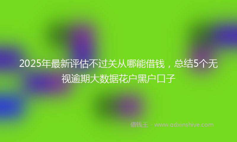 2025年最新评估不过关从哪能借钱，总结5个无视逾期大数据花户黑户口子