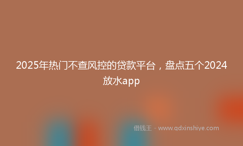 2025年热门不查风控的贷款平台，盘点五个2024放水app