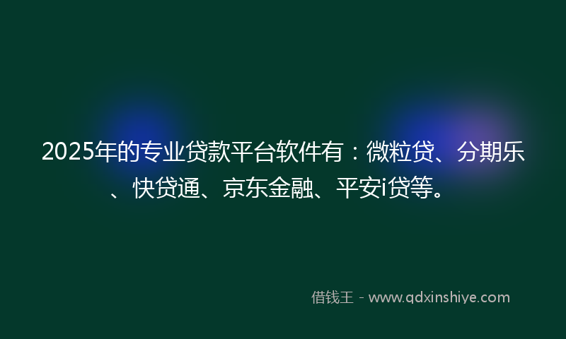 2025年的专业贷款平台软件有：微粒贷、分期乐、快贷通、京东金融、平安i贷等。
