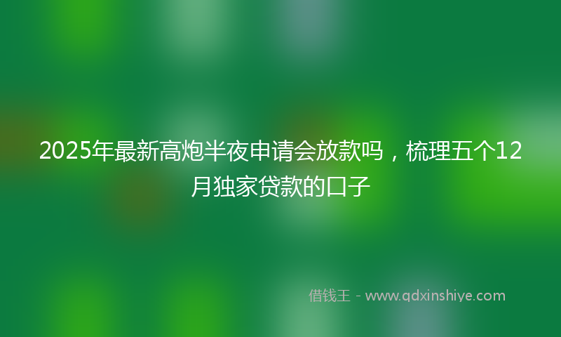 2025年最新高炮半夜申请会放款吗，梳理五个12月独家贷款的口子