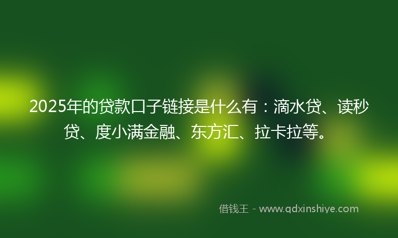 2025年的贷款口子链接是什么有：滴水贷、读秒贷、度小满金融、东方汇、拉卡拉等。