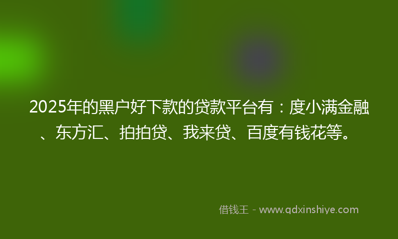 2025年的黑户好下款的贷款平台有：度小满金融、东方汇、拍拍贷、我来贷、百度有钱花等。