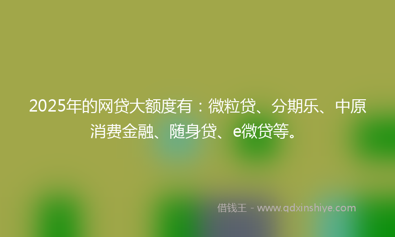 2025年的网贷大额度有：微粒贷、分期乐、中原消费金融、随身贷、e微贷等。