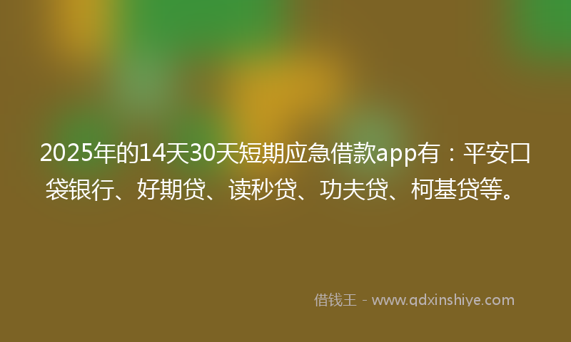 2025年的14天30天短期应急借款app有：平安口袋银行、好期贷、读秒贷、功夫贷、柯基贷等。