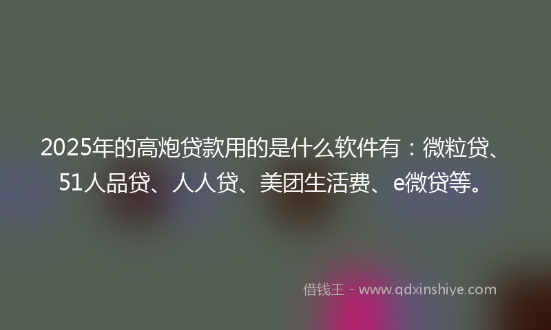 2025年的高炮贷款用的是什么软件有:微粒贷、51人品贷、人人贷、美团生活费、e微贷等。
