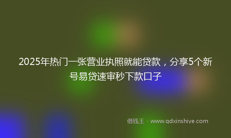 2025年热门一张营业执照就能贷款，分享5个新号易贷速审秒下款口子