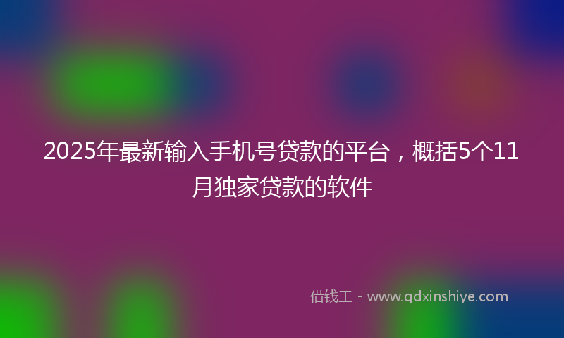 2025年最新输入手机号贷款的平台，概括5个11月独家贷款的软件