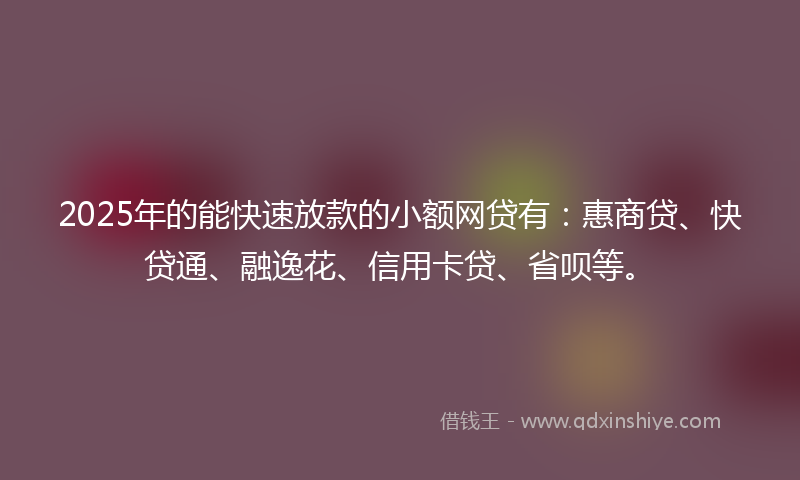 2025年的能快速放款的小额网贷有：惠商贷、快贷通、融逸花、信用卡贷、省呗等。