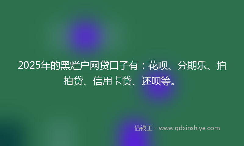 2025年的黑烂户网贷口子有：花呗、分期乐、拍拍贷、信用卡贷、还呗等。