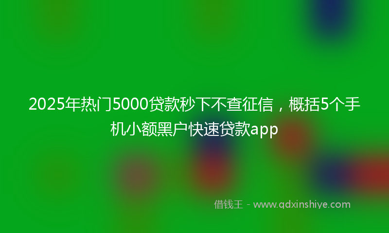 2025年热门5000贷款秒下不查征信，概括5个手机小额黑户快速贷款app