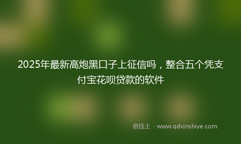 2025年最新高炮黑口子上征信吗，整合五个凭支付宝花呗贷款的软件